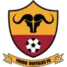 Young Buffaloes