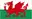 Wales U21