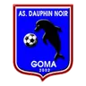 Dauphins Noirs