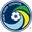 NY Cosmos