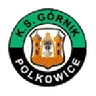 Górnik Polkowice