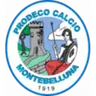 Montebelluna