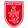 Jesina