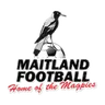 Maitland