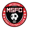 Michigan Stars