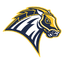 Chargers