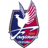 Fagiano Okayama