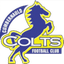 Cumbernauld Colts